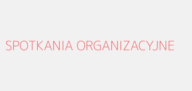 SPOTKANIA ORGANIZACYJNE